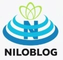 بهترین فیزیوتراپی تهران